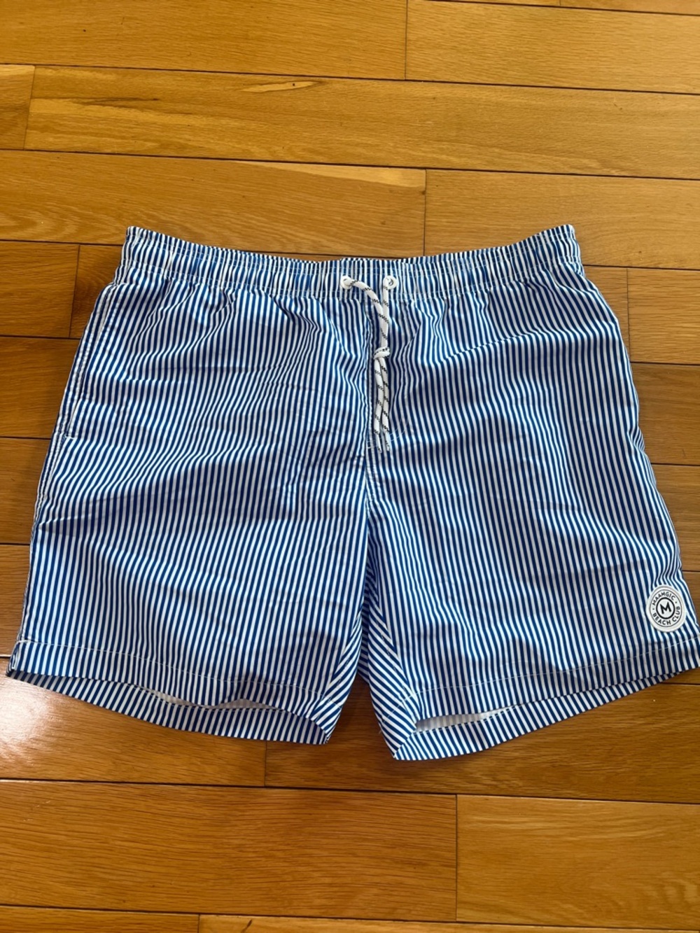 Men's Blue & White Striped Swim Trunks- New With Tags